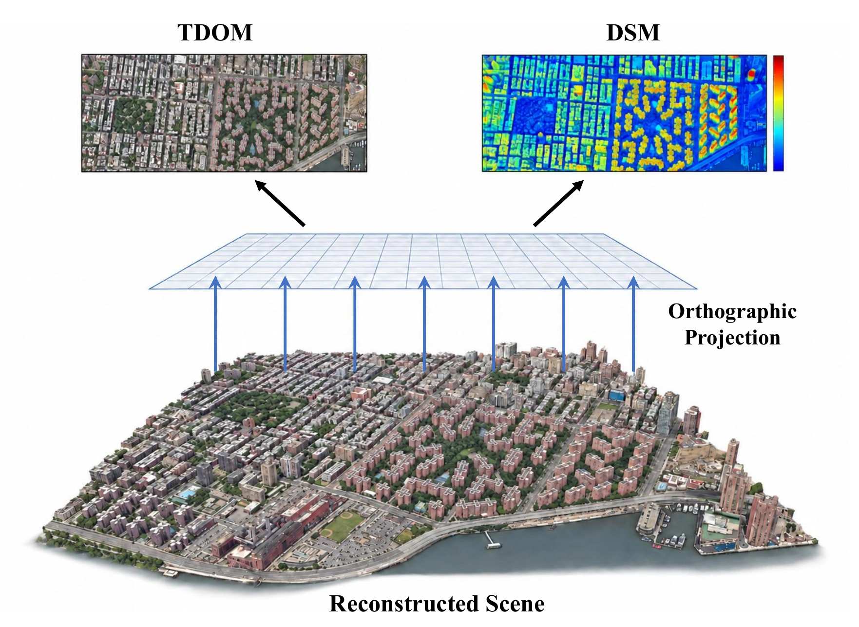 The optimized Gaussian scene is projected orthographically onto a common grid to generate the TDOM and DSM.